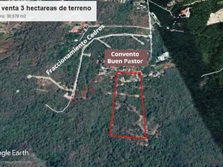 Se vende 3 hectáreas de terreno frente al Convento el Buen Pastor
