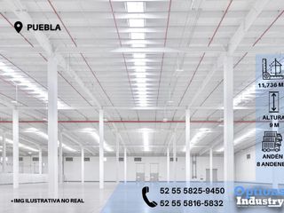 Immediate rent of industrial warehouse in Puebla