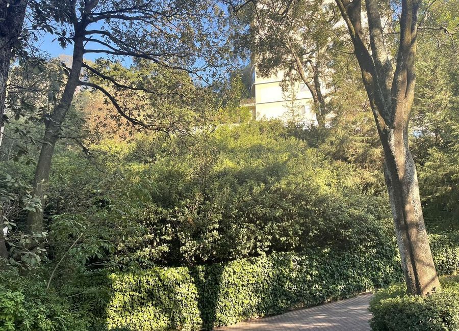 Club de Golf Bosques de Santa Fé. Torre Bosques 3.