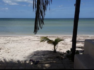 TERRENOS JUNTOS EN VENTA UBICADOS EN LAS PLAYAS DE SAN BENITO, YUCATÁN.