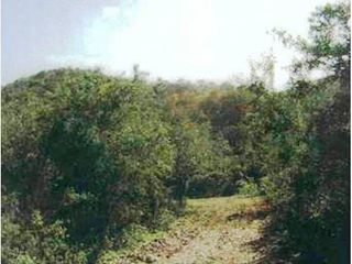 Lote de terreno rústico. Predio rustico, Cruillas, Tamaulipas.