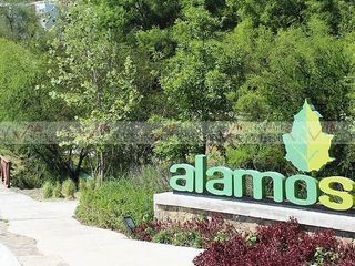 Alamo Sur