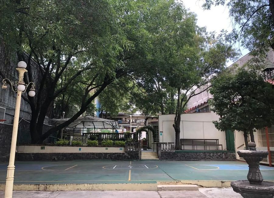 place photo 7