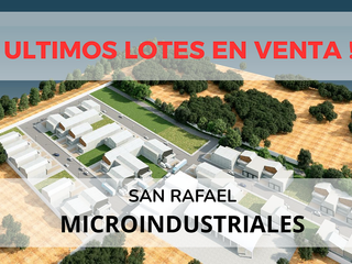 Venta de ULTIMOS LOTES ,Complejo Industrial San Rafael, AL norte de Ags