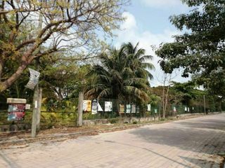 TERRENO EN RENTA CD. DEL CARMEN