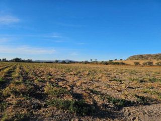 RENTA DE TERRENO AGRICOLA SAN JUAN DEL RIO