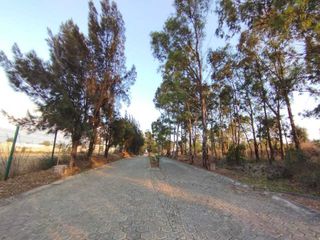 TERRENO EN VENTA EN FRACCIONAMIENTO, CERCA DE CHIPILO