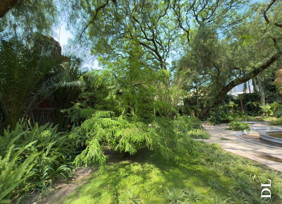 place photo 61