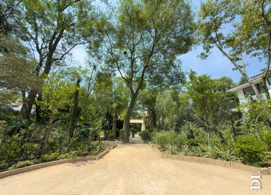 place photo 45