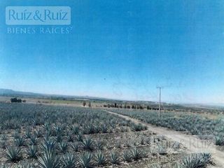 Terreno en  Romita Gto.