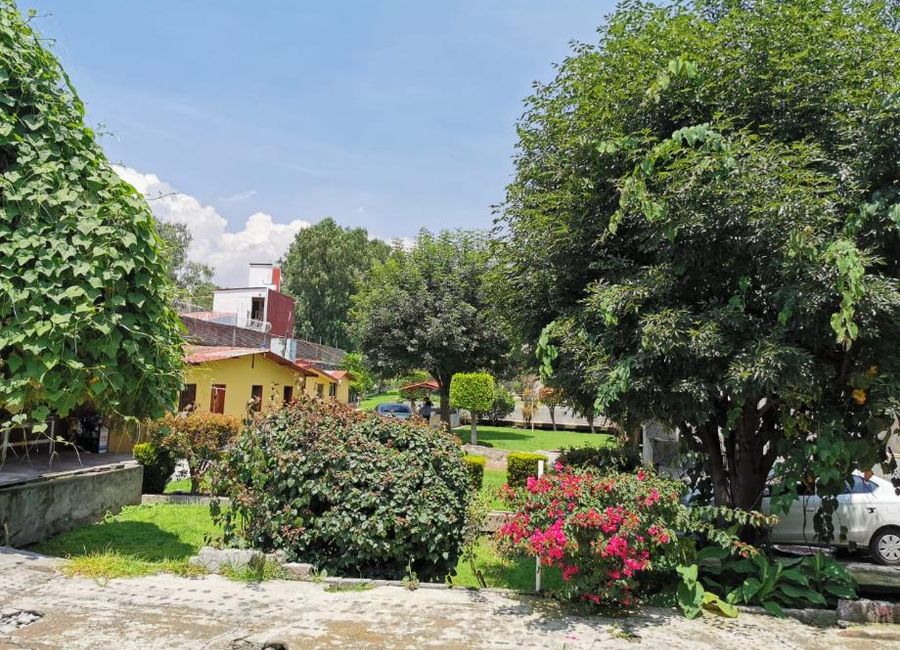 place photo 23
