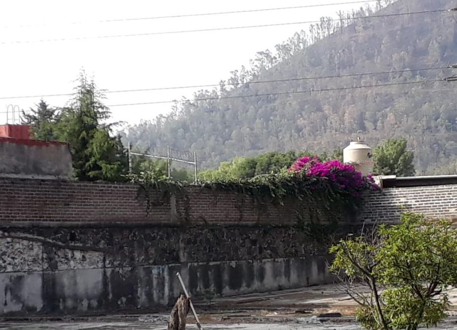 place photo 21