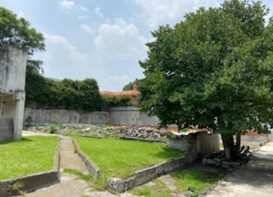 place photo 14