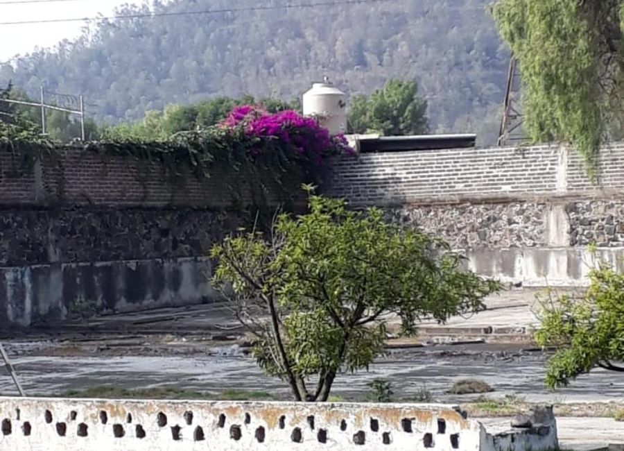 place photo 22