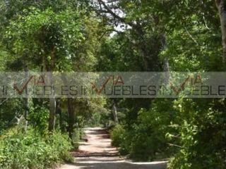 Lote / Terreno en Venta en Tulum Centro 1
