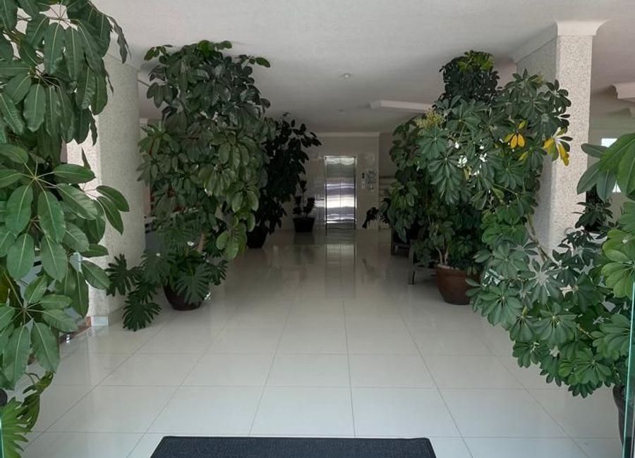 place photo 39