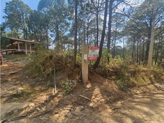 Terreno céntrico en el bosque de mazamitla