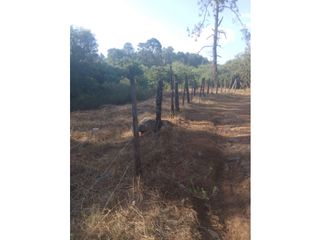Bonito terreno céntrico en zona de bosque de Mazamitla, Jalisco