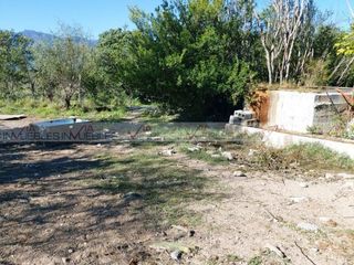 Bustamante