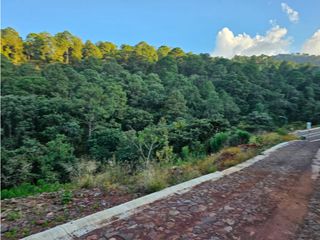 Bonito terreno en zona de bosque de mazamitla jalisco