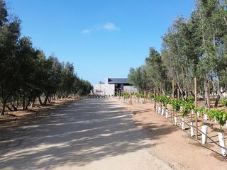 Vive con Exclusividad | Casa en venta en Comunidad Privada con 1,000 m²