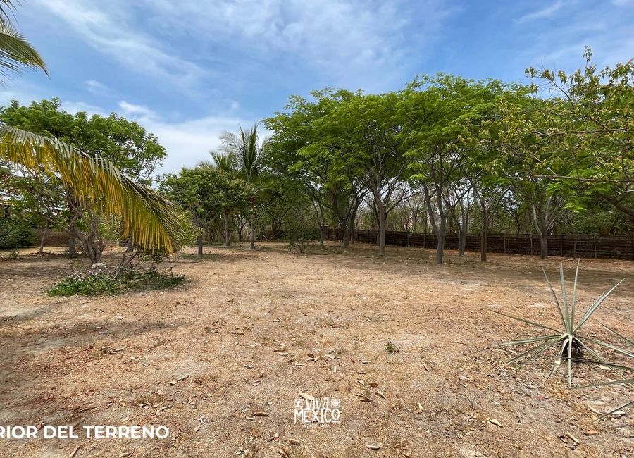 place photo 19