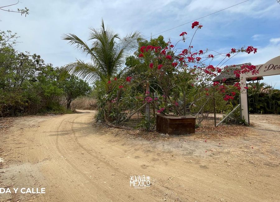 place photo 21