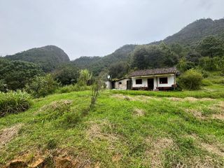 4.26 HECTAREAS DE TERRENO CON ARBOLES DE AGUACATE PRODUCIENDO, IDEAL PARA INVERSIONISTAS