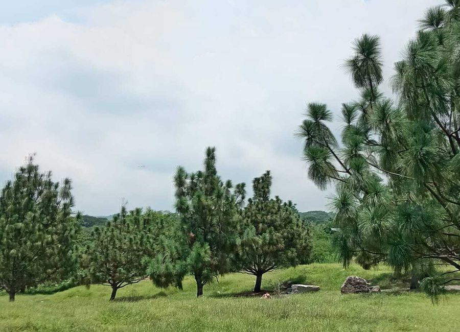 Terrenos habitacionales en venta en Fraccionamiento San Rafael ...