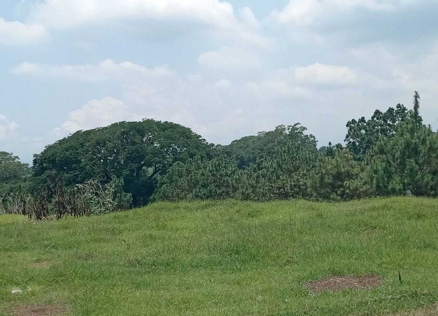 Terrenos habitacionales en venta en Fraccionamiento San Rafael ...