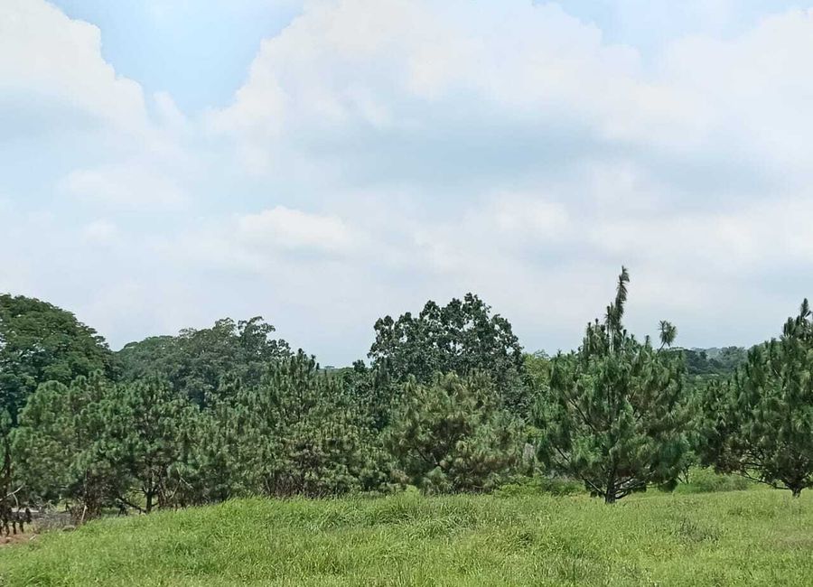 Terrenos habitacionales en venta en Fraccionamiento San Rafael ...