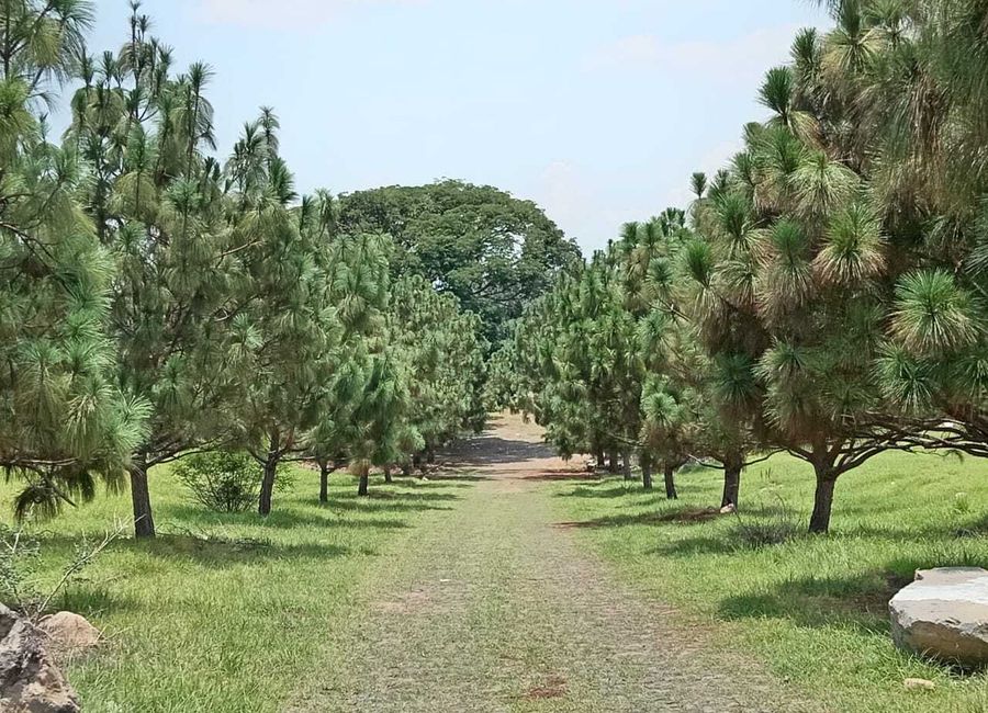 Terrenos habitacionales en venta en Fraccionamiento San Rafael ...