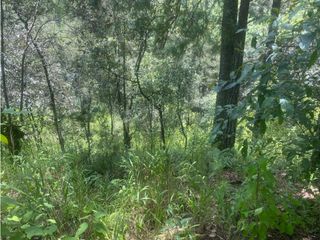 TERRENO EN VENTA | SAN CAYETANO | VILLA DE ALLENDE