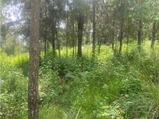 TERRENO EN VENTA | VILLA DE ALLENDE