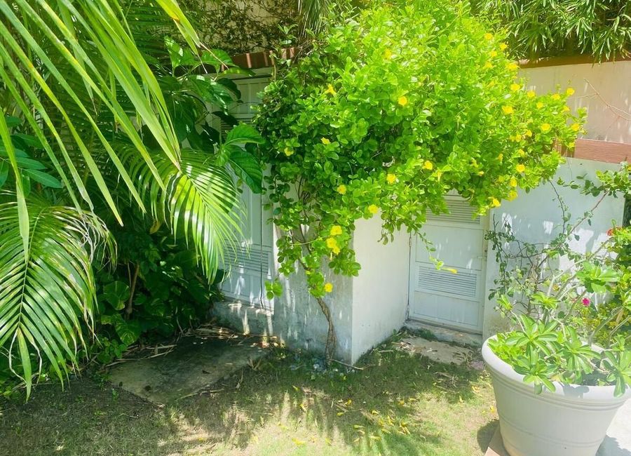 place photo 35
