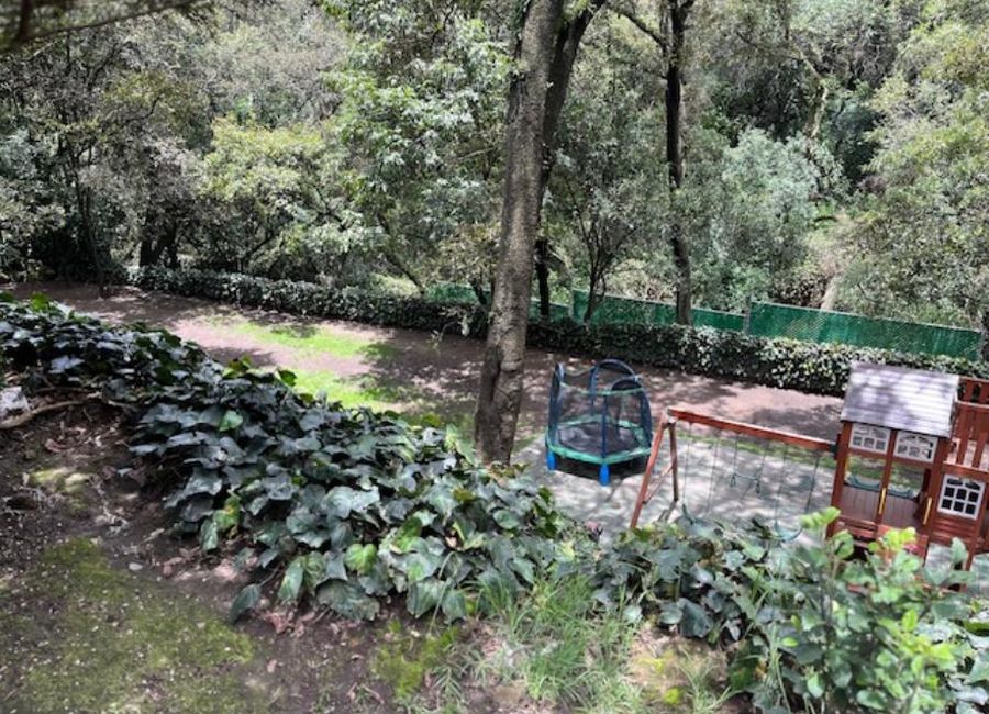 place photo 19