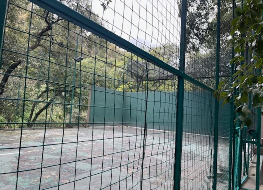 place photo 16