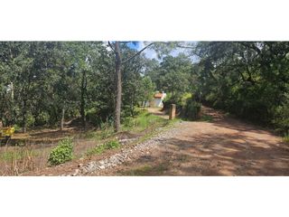 Bonito terreno en zona de bosque de mazamitla jalisco