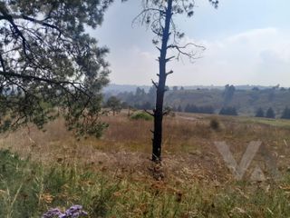 TERRENO INDUSTRIAL EN VENTA EN ALMOLOYA DE JUÁREZ. (SAN MIGUEL ALMOLOYÁN)