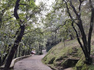 Terreno en pintoresco fraccionamiento frente a Rancho San Francisco