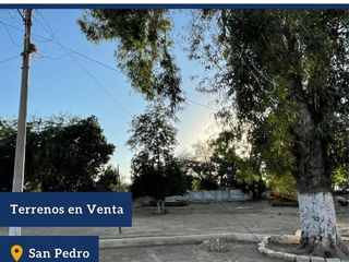 Venta Terrenos/San Pedro/Navolato-Culiacán