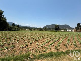 Terreno en venta, en Paraje Gola, Valle de Bravo, Estado de México