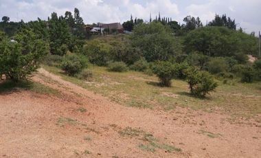 Venta de Terreno campestre en la Tomatina, Jesús María Aguascalientes