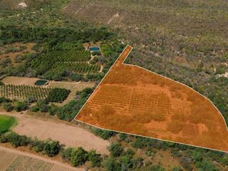 ORGANICS FRUIT LAND