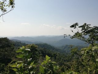 TERRENO EN VENTA EN PLUMA HIDALGO