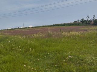 Venta Terreno En Carretera Toluca-Morelia