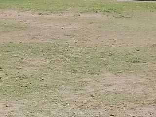 San Juan del Río terreno en renta