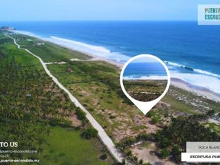 Terreno de 1 hectarea a pie de playa el Venado/Roca blanca