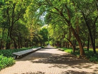 Departamento en Venta en Polanco V Sección, Miguel Hidalgo