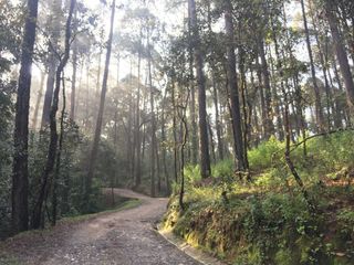 Terreno en venta en Rancho San Simón, Valle de Bravo.